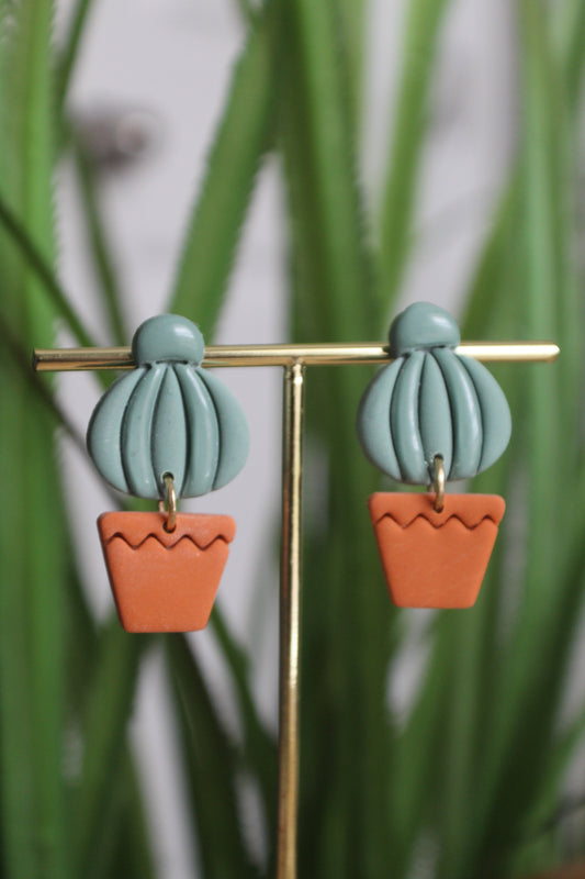 Potted Cactus